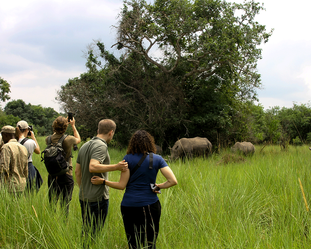 8 Days Ultimate Chimpanzee Tracking