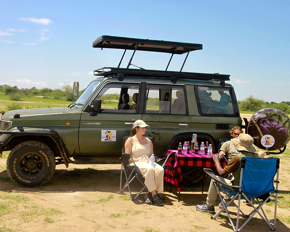 3 Days Akagera Wildlife Safari Rwanda