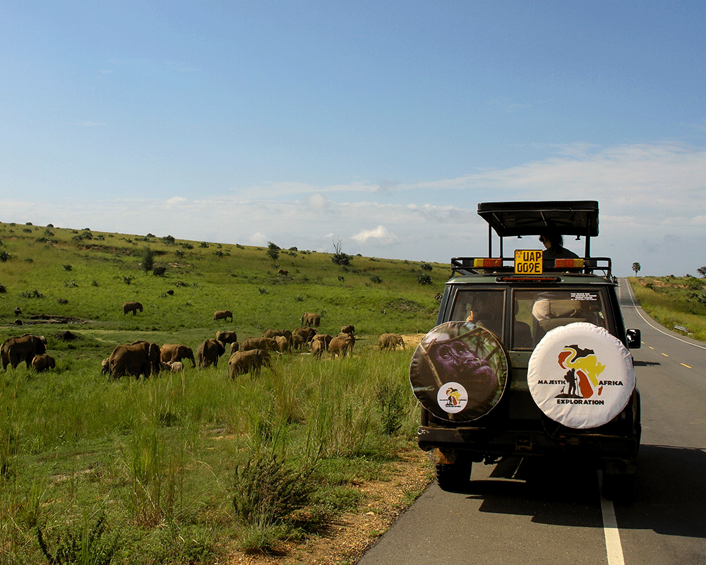 9 Days Uganda Safari