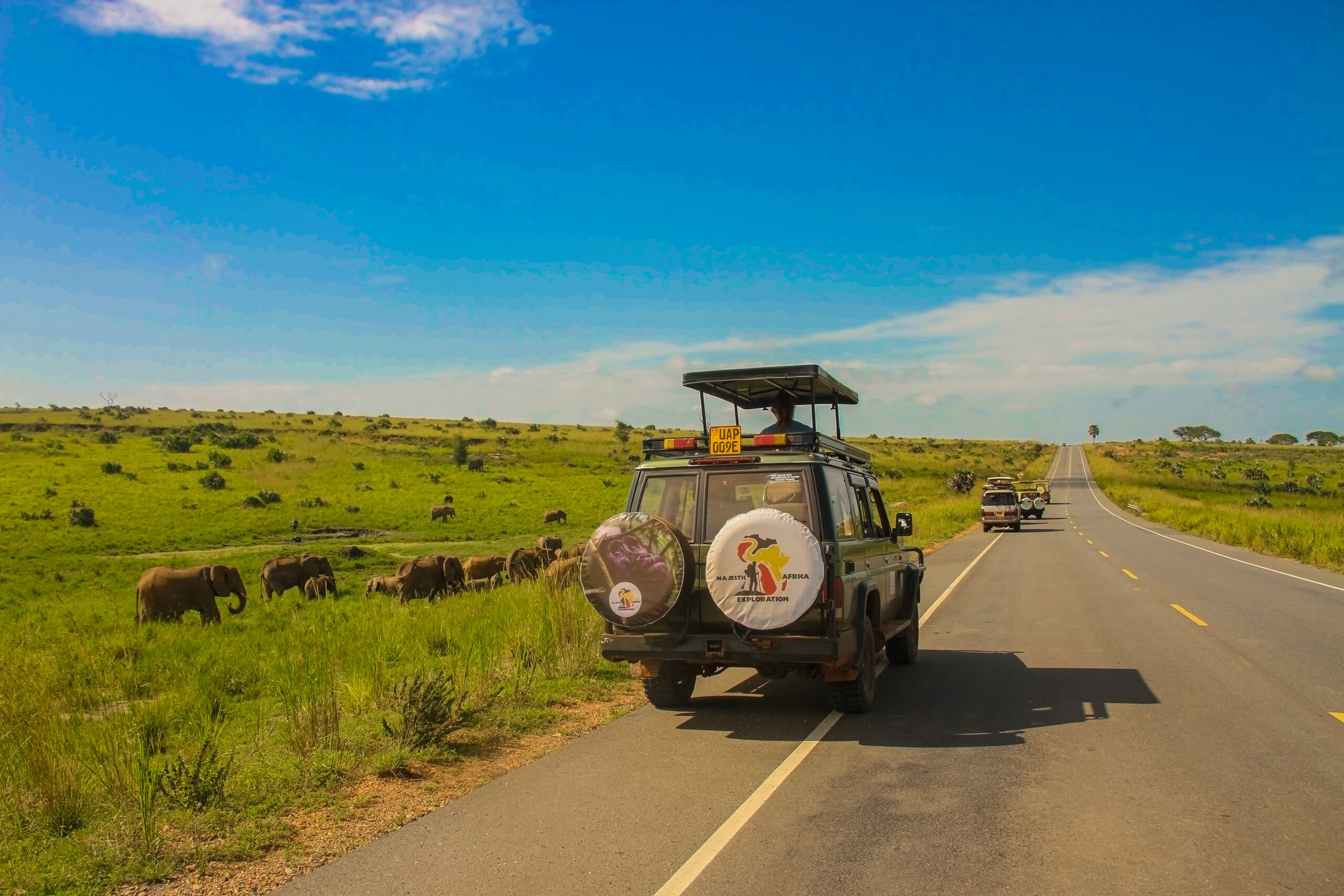 Explore Africa with Majestic Africa Exploration